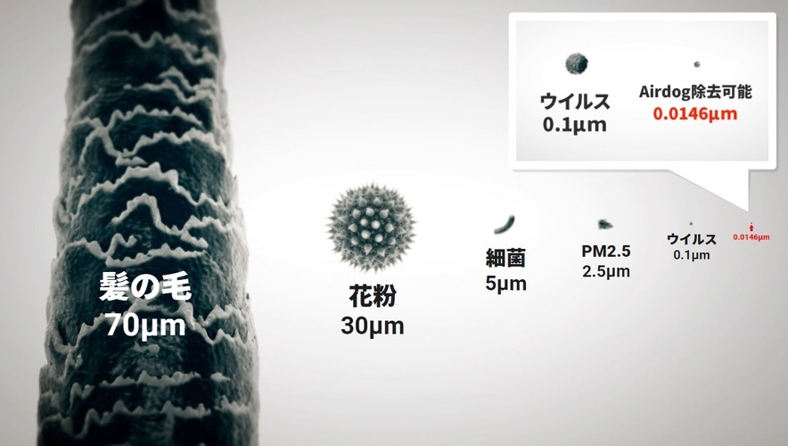 ウイルスのサイズ比較写真