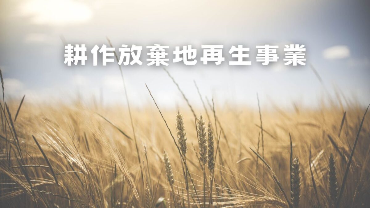 耕作放棄地再生事業について